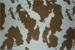 76% Rayon, 24% Polyester