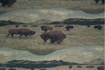 buffaloroam1SL