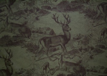 deerfield1SL