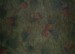 72% Acrylic 28% Polyester