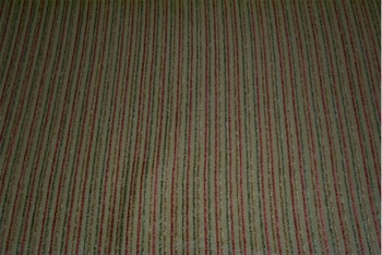 prairiestripe1SL