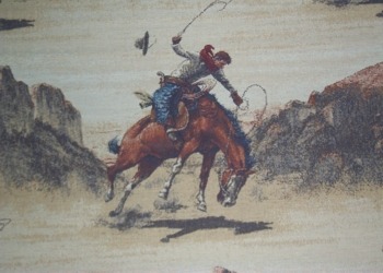 roughrider1SL