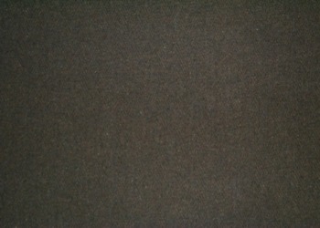 springgreen1SL
