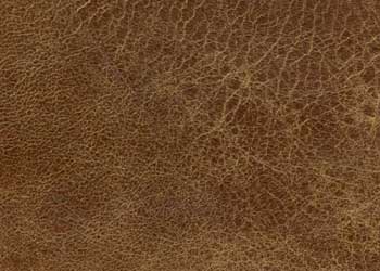 Fame_Brown_Sample