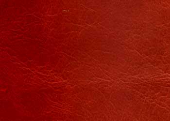 contempo_red_SAMPLE