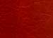 Contempo-Red