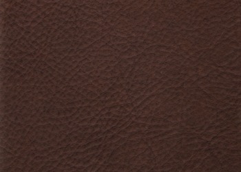 lthraviatorchocolate