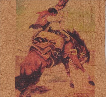 lthrbuckinbronco