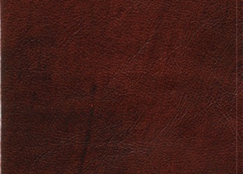 lthrdenverbrown