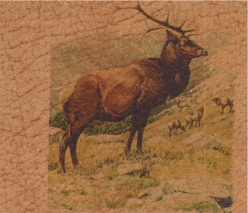 lthrelkherd