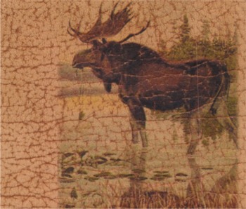 lthrmoose