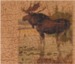 Moose