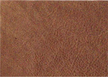 lthrpatagonialightbrown