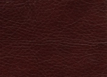 lthrwestchestercognac