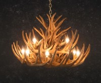 21antlerchandelier.jpg