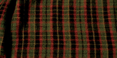 2-plaid-wooded-river-bedskirt