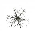 TWIG-67729x10-11.Jpg